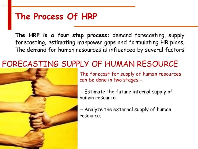 five steps in human resource planning five steps in human resource planning