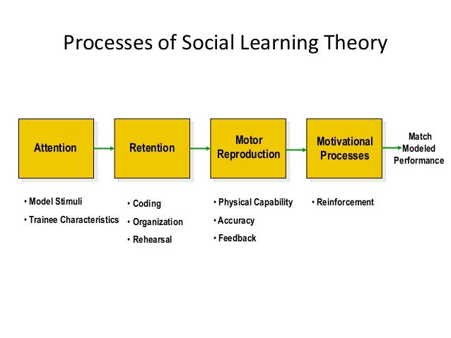Andragogy Learning Theory Mba human resource and development Andragogy Learning Theory Mba human resource and development