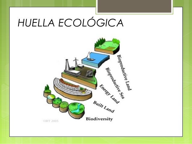 Huella ecológica