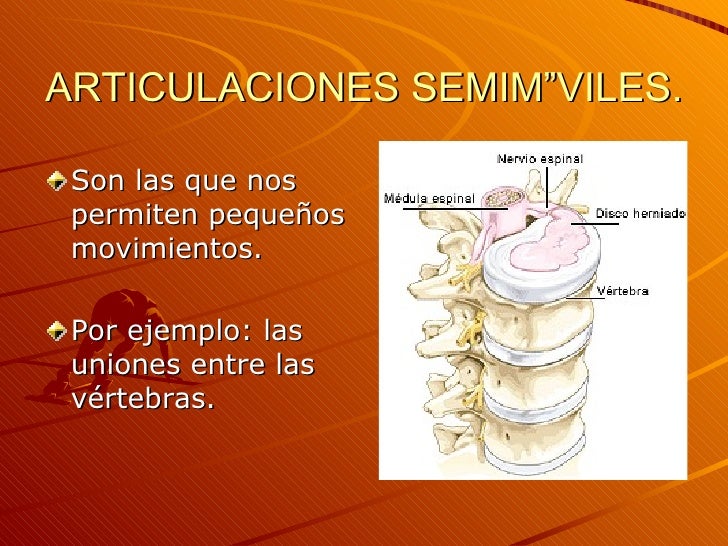 Huesosmusculosyarticulaciones