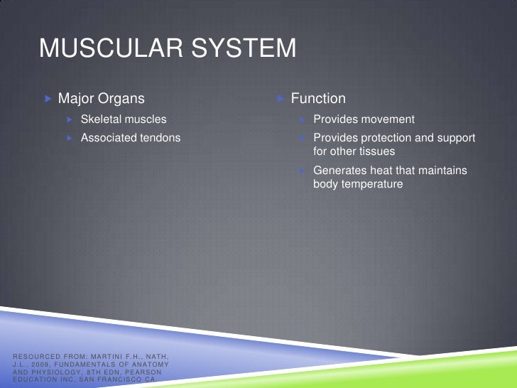 Human Body Systems & Major Organs