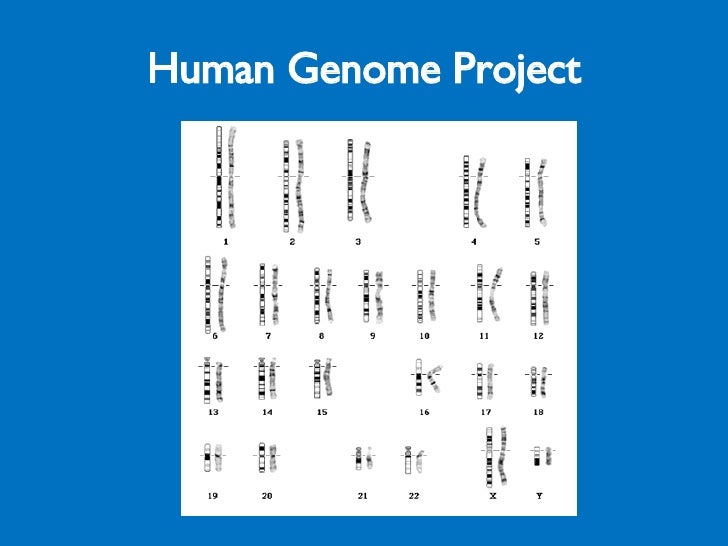 what is the human genome project