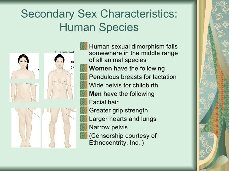 secondary sexual characteristics secondary sexual characteristics