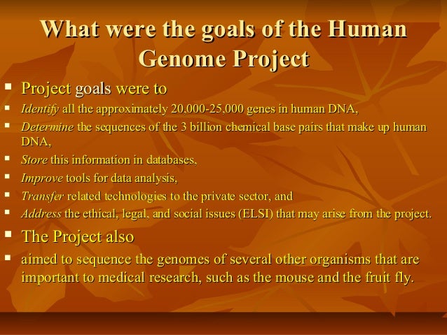 what is the human genome project