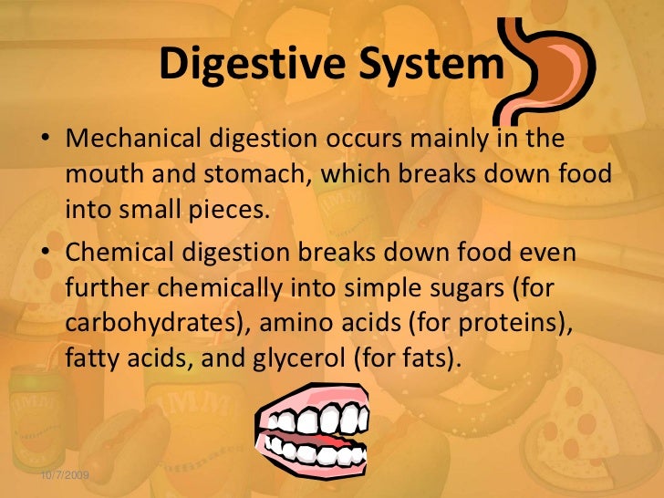Human body systems for kids