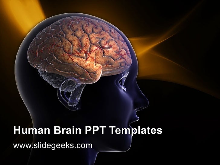 human-brain-ppt-templates