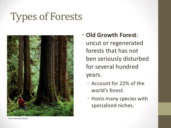 destruction of biodiversity Sustainable ecosystems have biodiversity the impact of ecosystem destruction are the following: increased flooding due to the erosion of soil and lack of trees. destruction of biodiversity Sustainable ecosystems have biodiversity the impact of ecosystem destruction are the following: increased flooding due to the erosion of soil and lack of trees.