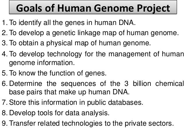 a description of the human genome project a description of the human genome project