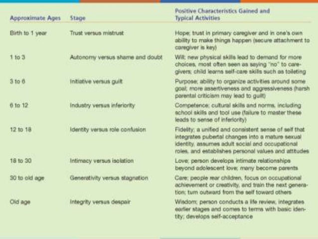 Developmental Psychology Essay