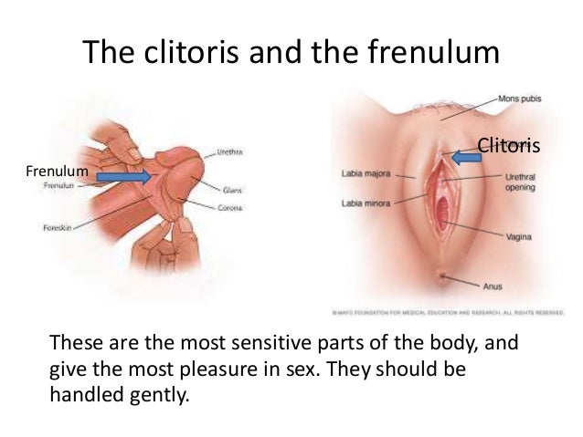 Womens most sensitive point clitoris
