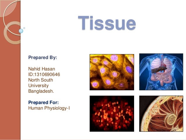 download microbial enzymes and