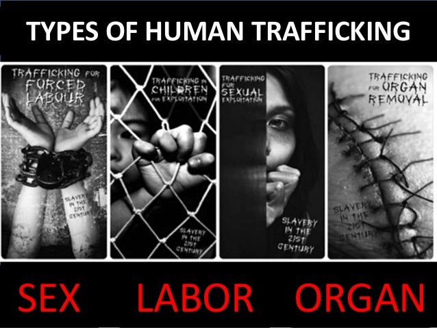 Human sex trafficking essay