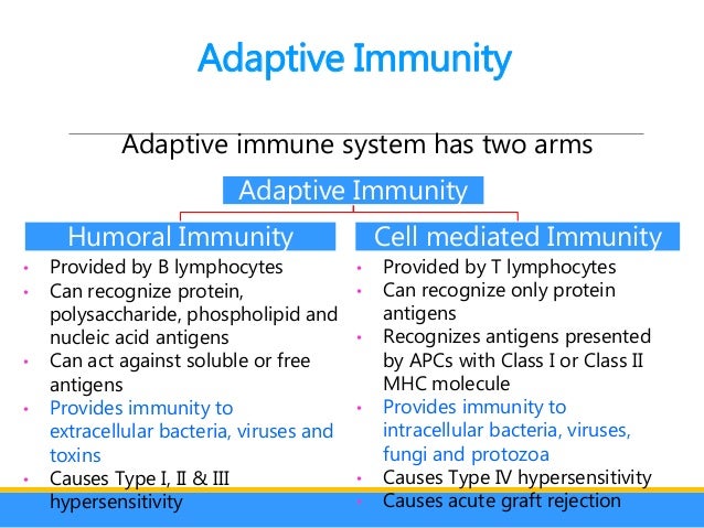 Cell mediated immunity   wikipedia