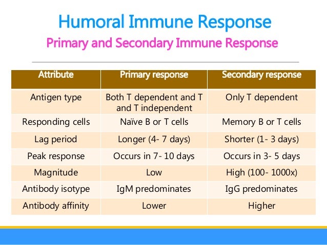 Humoral immune response