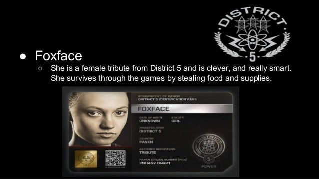 the hunger games book report 7th grade level the hunger games book report 7th grade level