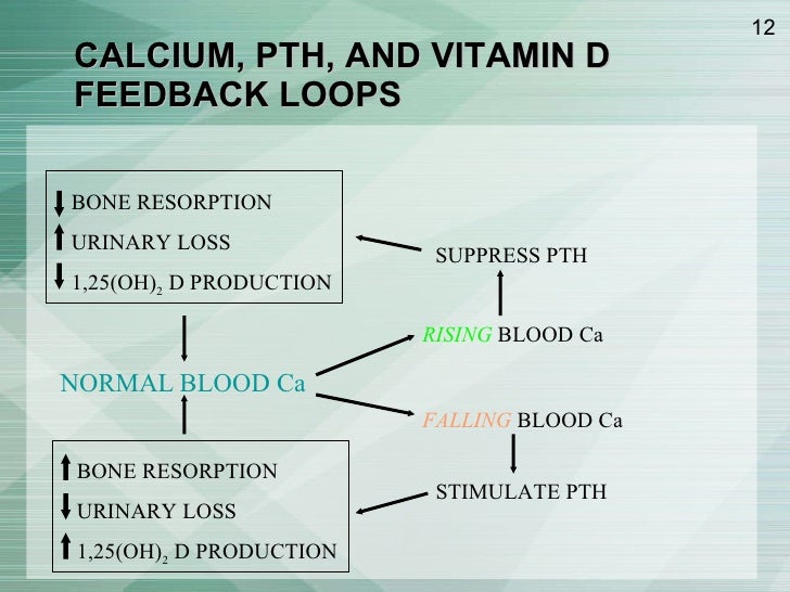 Hypercalcemia; How to approach