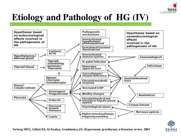 hyperemesis gravidarum etiology