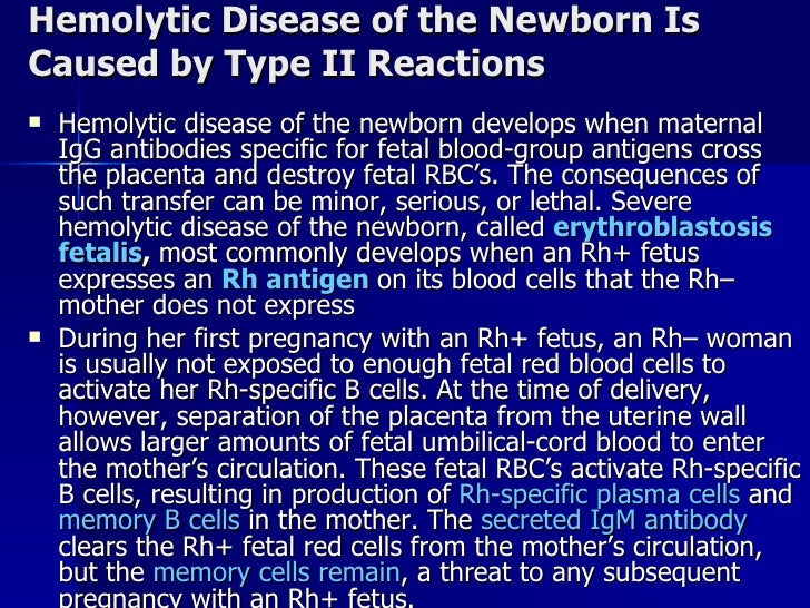 hemolytic disease of the fetus biology essay Start studying microbiology final lecture learn vocabulary hemolytic disease of the newborn can result from a) an rh+ mother with an rh- fetus b). hemolytic disease of the fetus biology essay Start studying microbiology final lecture learn vocabulary hemolytic disease of the newborn can result from a) an rh+ mother with an rh- fetus b).