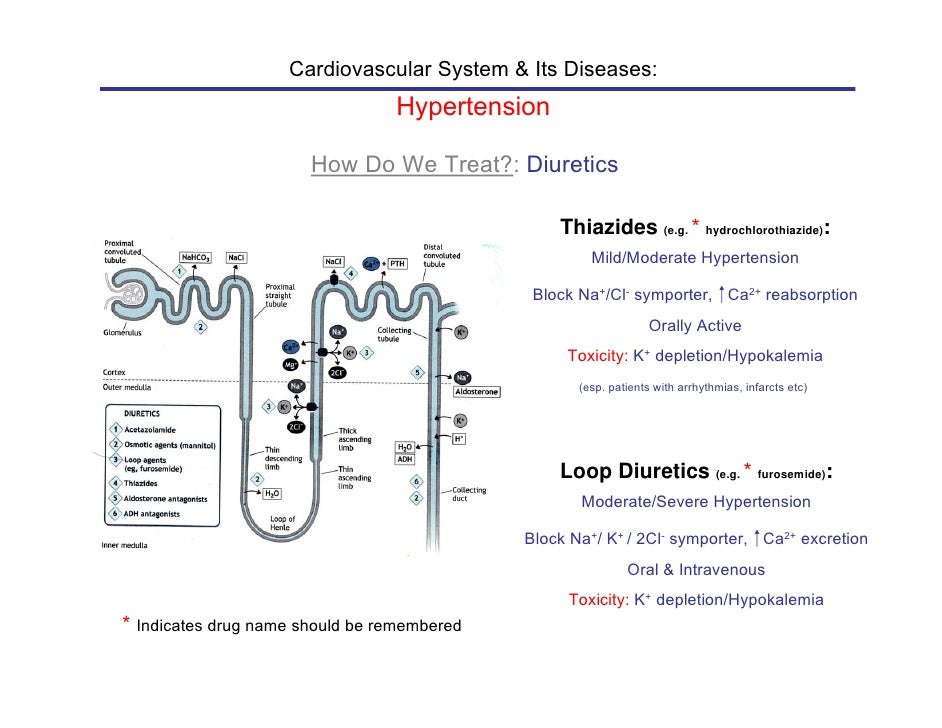 How Does Lasix Work For Hypertension
