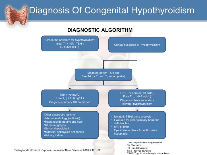 hypothyroidism a clinical perspective thyroid flow chart