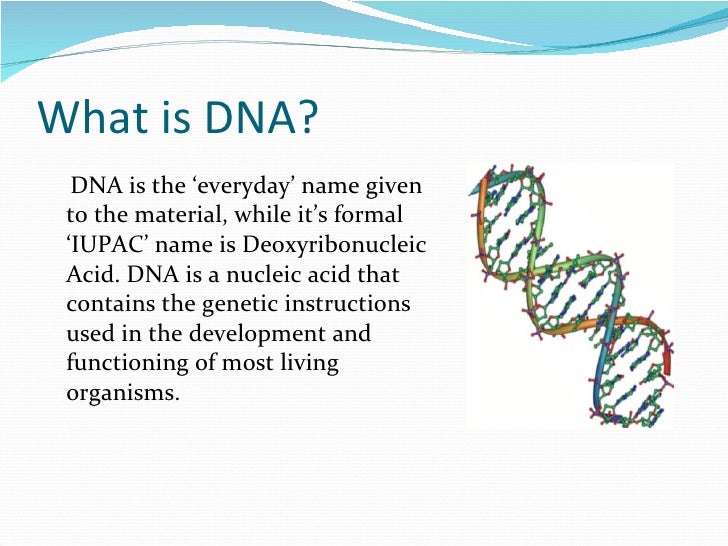 Image Result For Deoxyribonucleic Acid Image Result For Deoxyribonucleic Acid