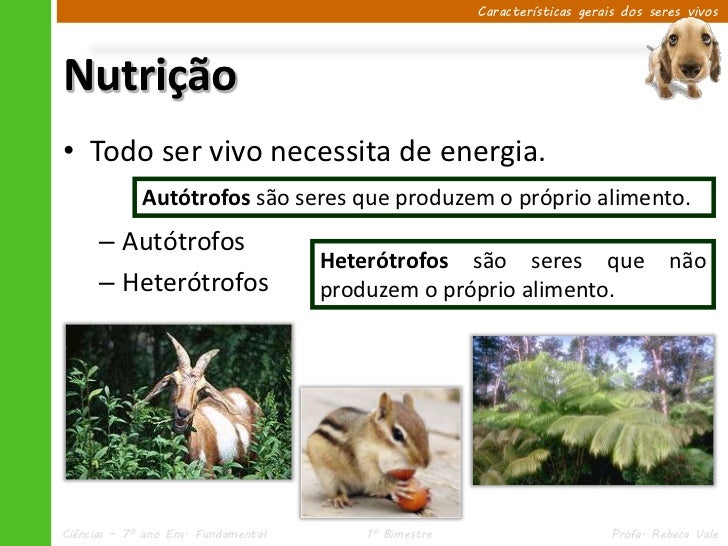Considere As Seguintes Características Atribuídas Aos Seres Vivos