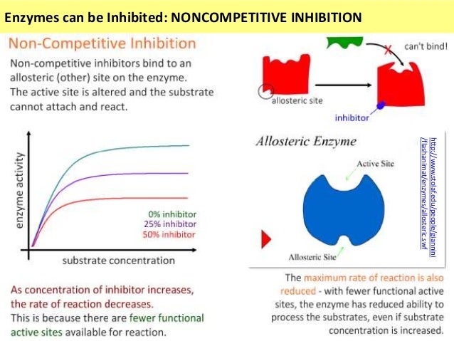 enzyme investigation coursework Ap biology investigative labs: comprehensive links investigation 13: enzyme activity ncbi mini-courses. enzyme investigation coursework Ap biology investigative labs: comprehensive links investigation 13: enzyme activity ncbi mini-courses.
