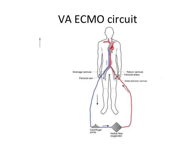 kidney transplant and heart transplant