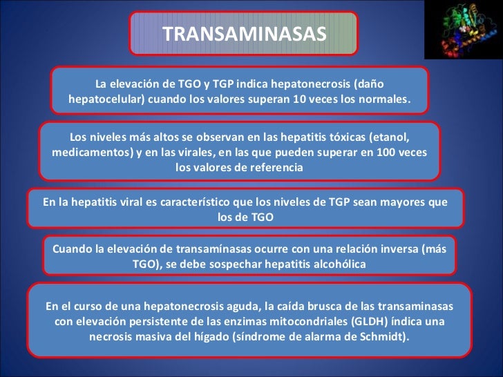 Semiologia: Ictericia