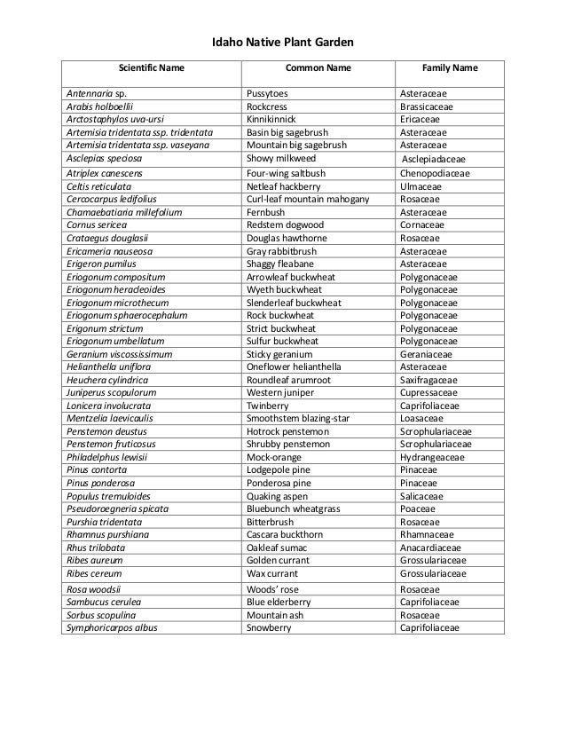 Idaho Native Plant Garden