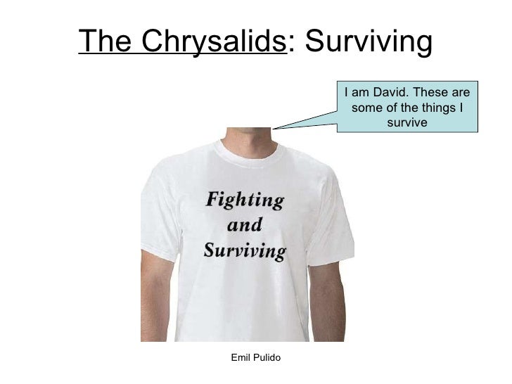 Leadership chrysalids essay 04 picture