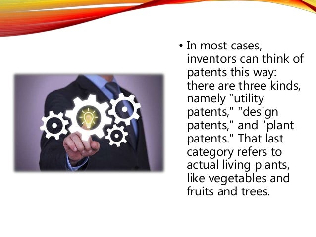 Idea Design idea design studio ideadzignstudio twitter 3 Idea Design pet product idea design and development 3