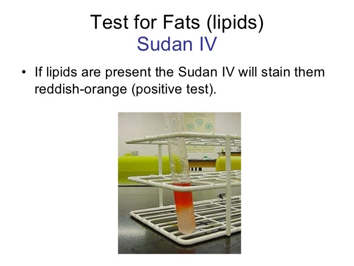 Identifying Macromolecules In Food