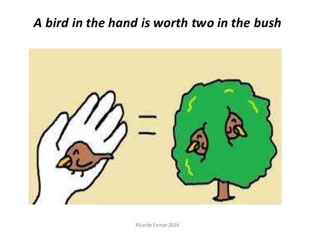 late bird defintion late bird defintion