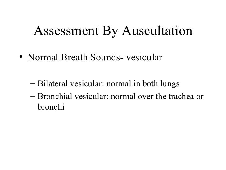 vesicular breath sounds medical definition vesicular breath sounds medical definition