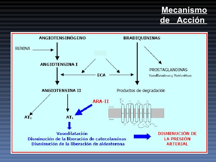 Ieca Ara II