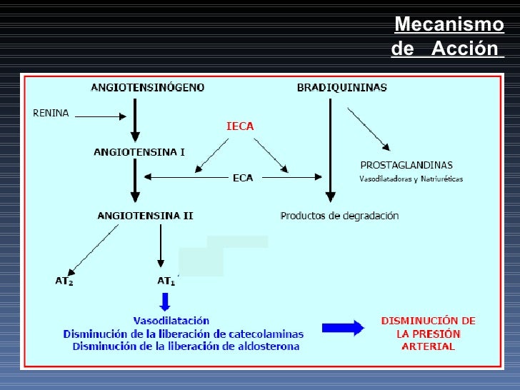 Ieca Ara II