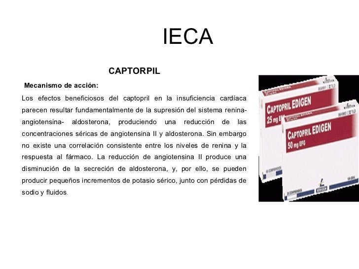 Ieca.ppt presentasion