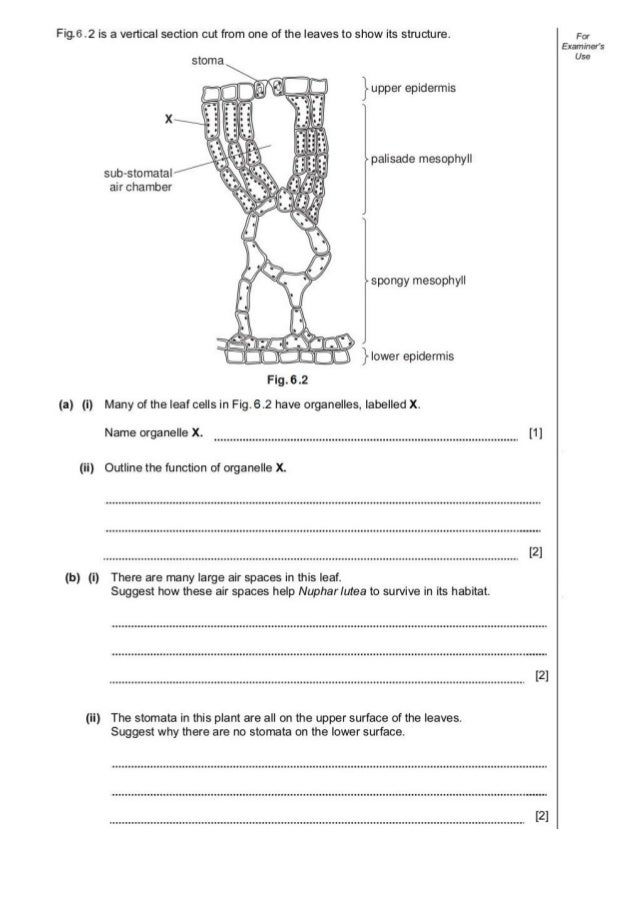 example of diffusion