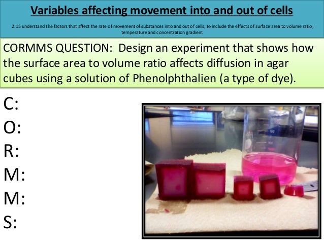 diffusion surface area to volume ratio and cube essay International baccalaureate biology tutorial 216 explain the importance of the surface area to volume ratio surface area, volume diffusion _lab. diffusion surface area to volume ratio and cube essay International baccalaureate biology tutorial 216 explain the importance of the surface area to volume ratio surface area, volume diffusion _lab.