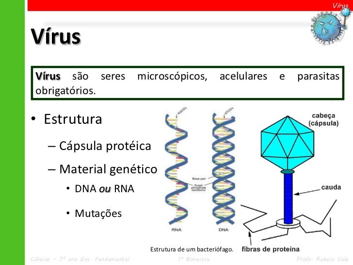 Onde Esse Material Fica Inserido No Virus