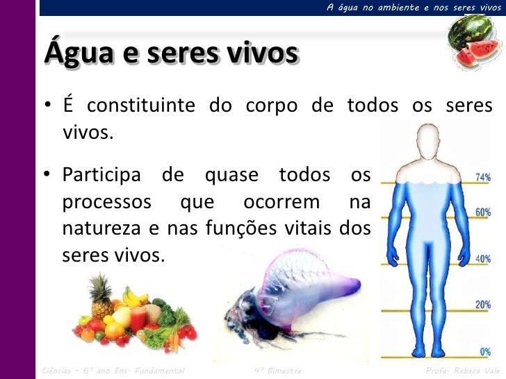 III.1 Água no ambiente e nos seres vivos