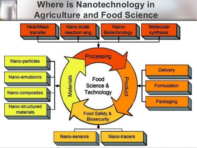 Paper presentation on nanotechnology food to go