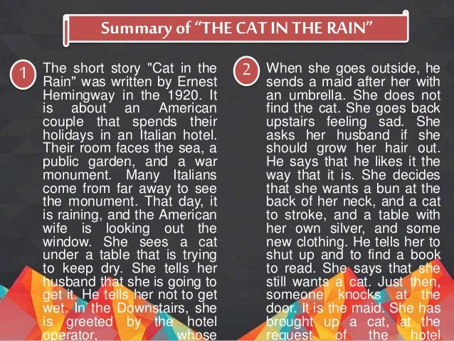essay cat in the rain