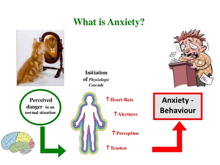 Anxiety Disorders: What School Counsellors Need to Know Anxiety Disorders: What School Counsellors Need to Know
