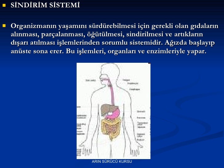 ilkyardim bilgisi ARIN SÜRÜCÜ KURSU ARİF EMUL