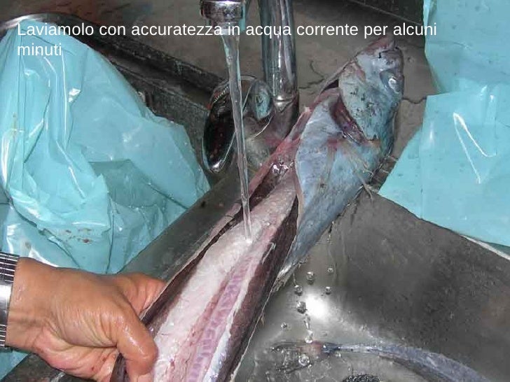 Argilla azzurra per la persona a pigmentazione