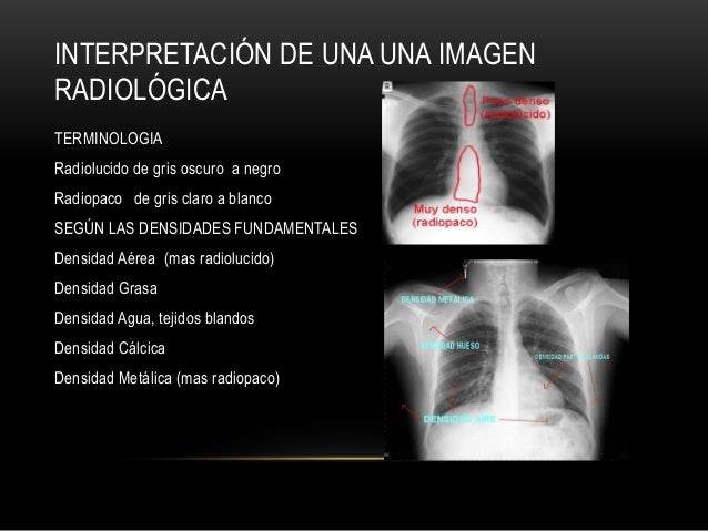 Imagenologia