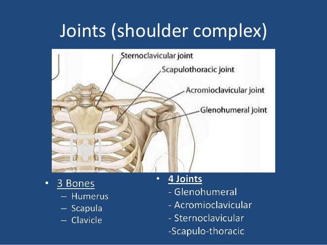 Imaging of shoulder - Dr. Vishal Sankpal