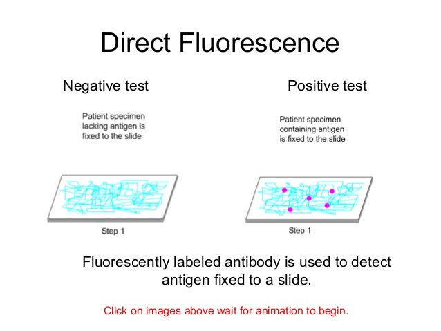 emit assay animation Synonyms for emit in free thesaurus antonyms for emit 51 synonyms for emit: give off, release, shed, leak, transmit, discharge, send out, throw out, vent, issue. emit assay animation Synonyms for emit in free thesaurus antonyms for emit 51 synonyms for emit: give off, release, shed, leak, transmit, discharge, send out, throw out, vent, issue.